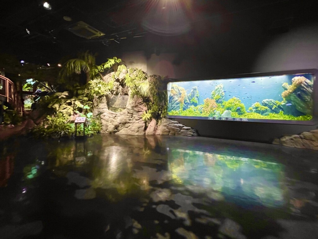 DMM Kariyushi水族館