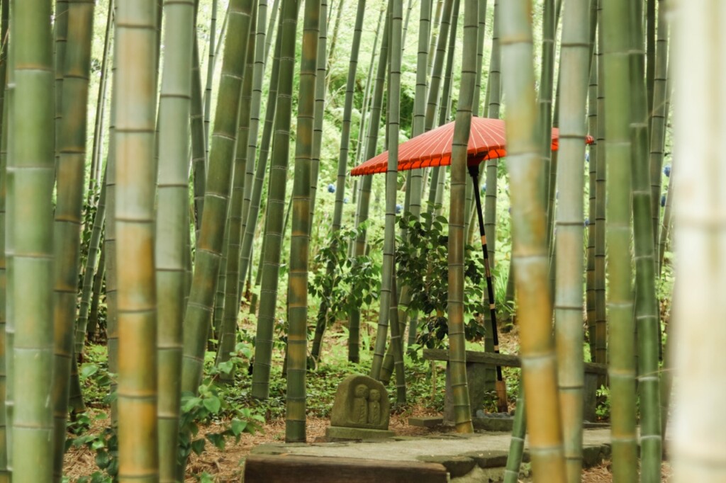 雲昌寺