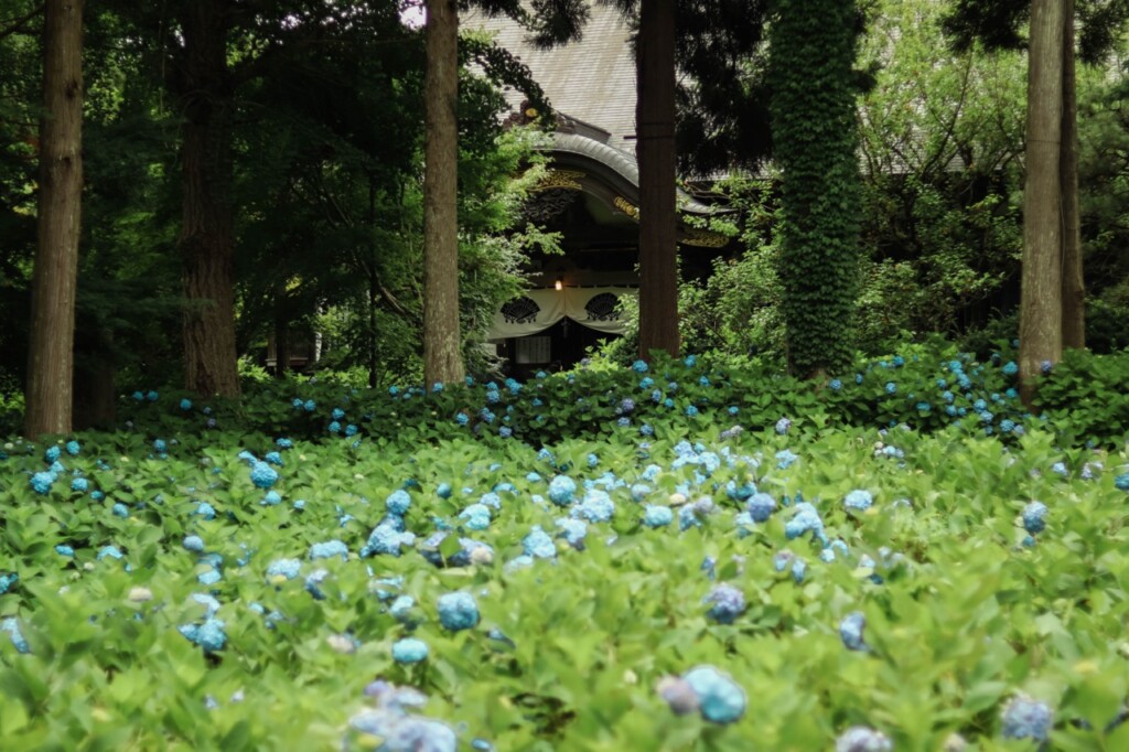 雲昌寺