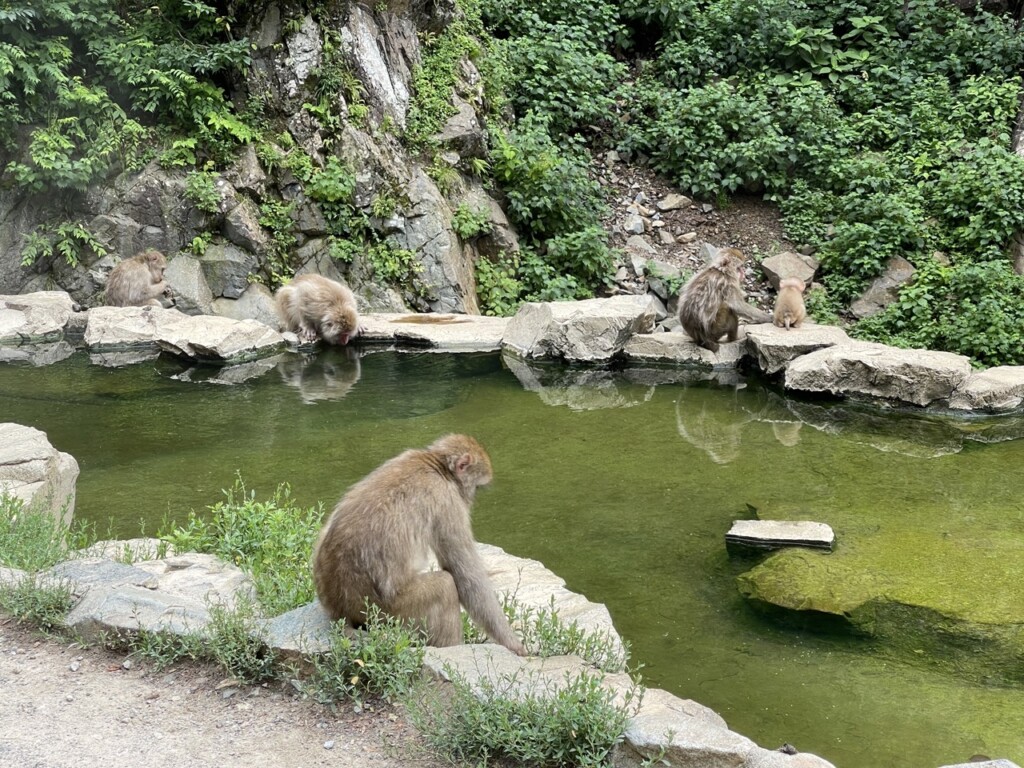 長野自駕