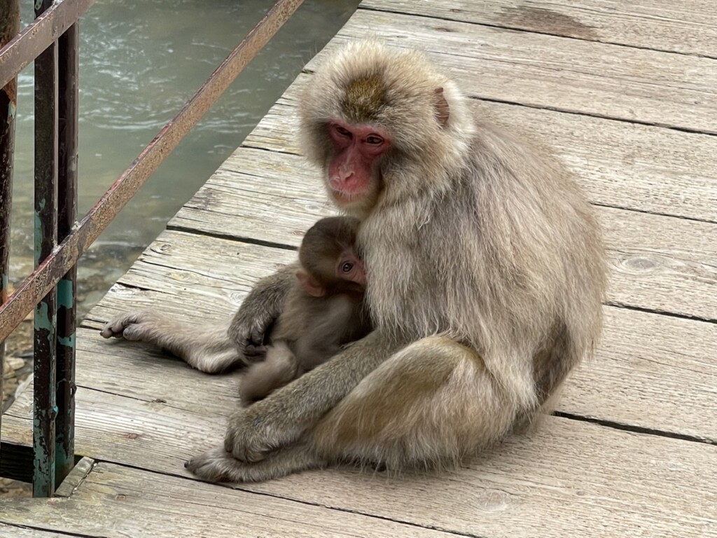 長野自駕