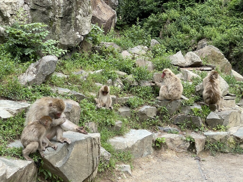 長野自駕