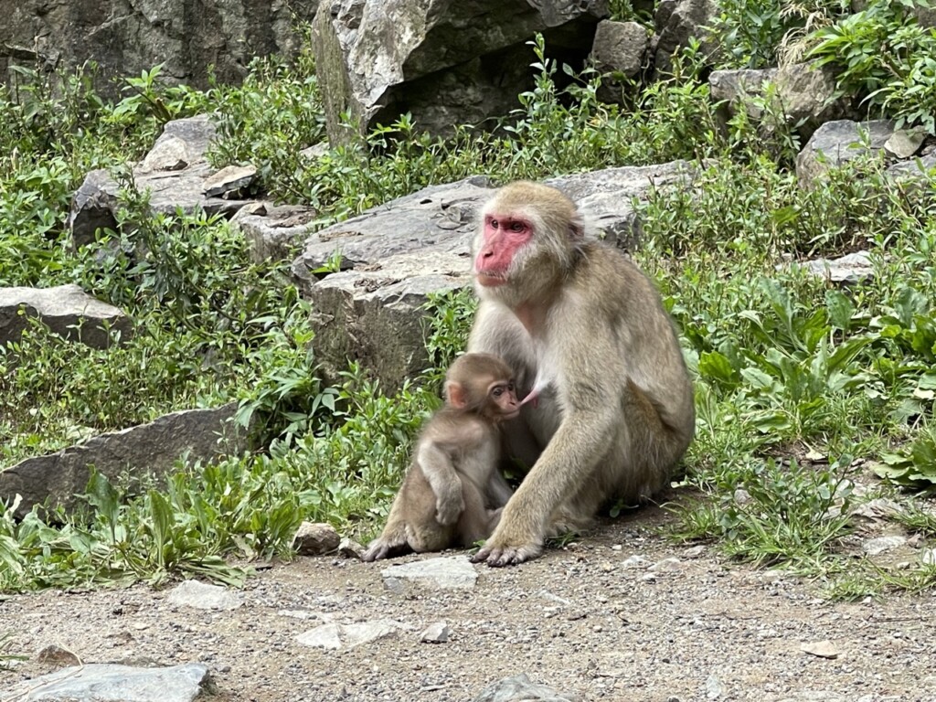 長野自駕