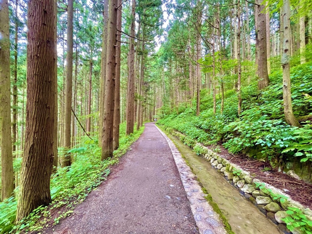 長野自駕