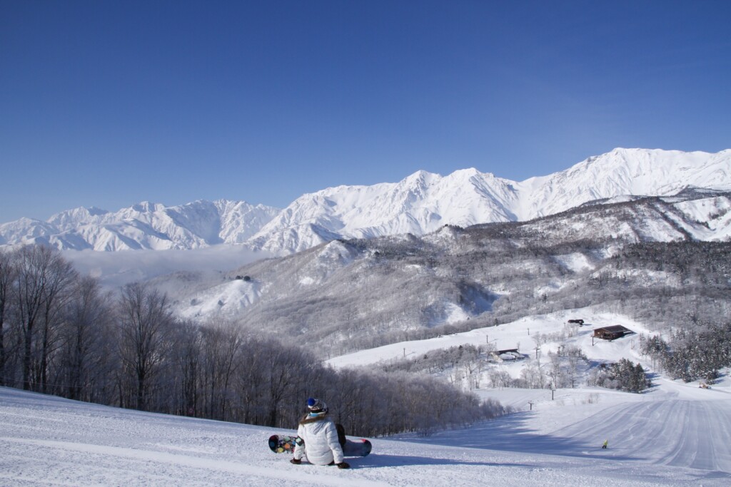 冬日雪景 ©️Tsugaike Mountain Resort 栂池自然園