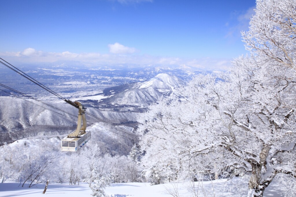 龍王滑雪公園 龍王山度假村