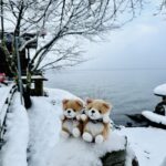 張維中／夢的濾鏡，大雪中的田澤湖｜東北秋田縣｜田澤湖高原溫泉